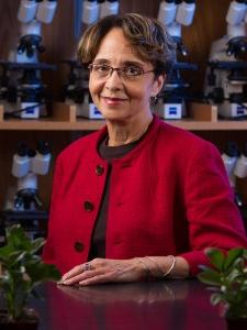 Muriel Poston, Professor of Environmental Analysis