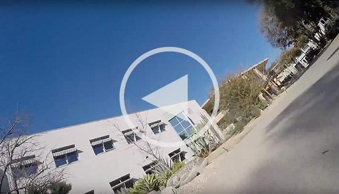A Dog’s Eye View of Pitzer